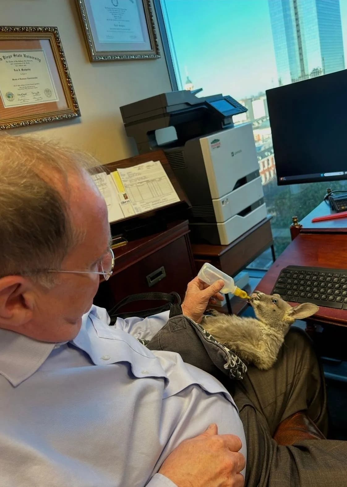 Dale bottle-feeding Sophie at his desk with diplomas on the wall