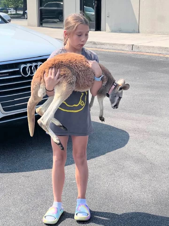 Young girl holding Jack the kangaroo